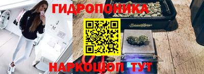 гидра Можайск